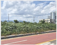  2025Ÿ��12322 ��� �ϱ� ȣ�赿 1010-9       ����(����)���