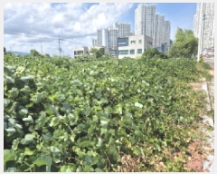  2025Ÿ��12322 ��� �ϱ� ȣ�赿 1010-9       ����(����)���