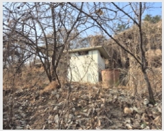  2025Ÿ��107 ��� ���ֱ� �¾��� ��ȭ�� 425-1      ����(������)���