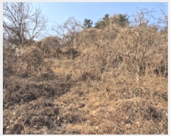  2025Ÿ��107 ��� ���ֱ� �¾��� ��ȭ�� 425-1      ����(������)���