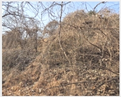  2025Ÿ��107 ��� ���ֱ� �¾��� ��ȭ�� 425-1      ����(������)���