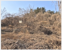  2025Ÿ��107 ��� ���ֱ� �¾��� ��ȭ�� 425-1      ����(������)���