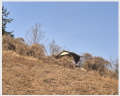  2025Ÿ��107 ��� ���ֱ� �¾��� ��ȭ�� 425-1      ����(������)���