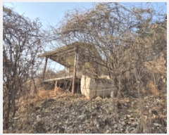  2025Ÿ��107 ��� ���ֱ� �¾��� ��ȭ�� 425-1      ����(������)���