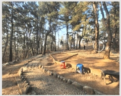  2025Ÿ��381 ��� ���� ���ϵ� ��134-1       ����(�Ӿ�)���