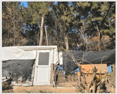  2025Ÿ��381 ��� ���� ���ϵ� ��134-1       ����(�Ӿ�)���