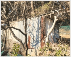  2025Ÿ��381 ��� ���� ���ϵ� ��134-1       ����(�Ӿ�)���