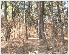  2025Ÿ��381 ��� ���� ���ϵ� ��134-1       ����(�Ӿ�)���