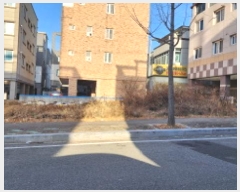  2025Ÿ��503  �������