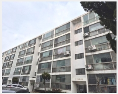  2025Ÿ��903 ��� ���ֱ� �»��� ���Ÿ� 336 ����ȭ����Ʈ 112�� 5��617ȣ   ����Ʈ���