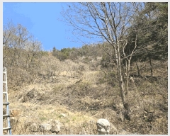  2025Ÿ��1022 ��� ���ֱ� �¾��� ������ 491      ����(��)���