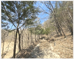  2025Ÿ��1022 ��� ���ֱ� �¾��� ������ 491      ����(��)���