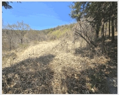  2025Ÿ��1022 ��� ���ֱ� �¾��� ������ 491      ����(��)���