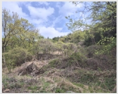  2025Ÿ��1022 ��� ���ֱ� �¾��� ������ 491      ����(��)���