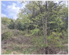  2025Ÿ��1022 ��� ���ֱ� �¾��� ������ 491      ����(��)���