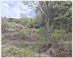  2025Ÿ��1022 ��� ���ֱ� �¾��� ������ 491      ����(��)���