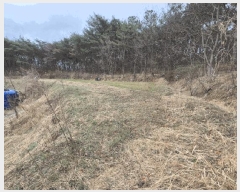  2025Ÿ��1032 ��� �ϱ� ��õ�� 65-5       ����(��1)���