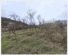  2025Ÿ��1032 ��� �ϱ� ��õ�� 65-5       ����(��1)���