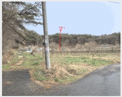  2025Ÿ��1032 ��� �ϱ� ��õ�� 65-5       ����(��1)���