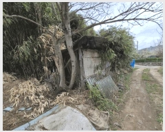  2025Ÿ��1032 ��� �ϱ� ��õ�� 65-5       ����(��1)���