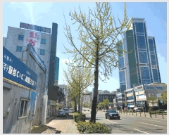  2025Ÿ��1039 ��� ���� �޵� 1412 ��ȯ�Ƹ����� 22��2205ȣ     ����Ʈ���