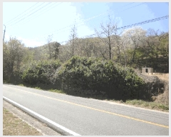  2025Ÿ��1042  ����