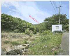  2025Ÿ��1100 ��� ���ֱ� ���̸� ������ ��153-2      ����(�Ӿ�)���