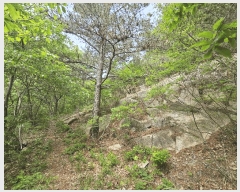  2025Ÿ��1100 ��� ���ֱ� ���̸� ������ ��153-2      ����(�Ӿ�)���