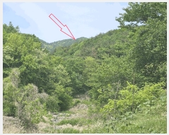  2025Ÿ��1100 ��� ���ֱ� ���̸� ������ ��153-2      ����(�Ӿ�)���