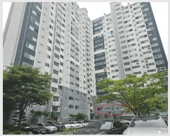  2025Ÿ��1137  ����Ʈ���