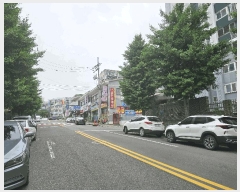  2025Ÿ��1137  ����Ʈ���