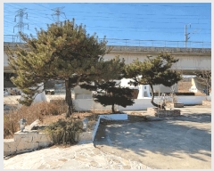  2025Ÿ��11107 ��� ���ֱ� ������ ���긮 640      ��,�繫�ǰ��