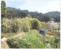  2025Ÿ��11547 ��� ���ֱ� ��ϸ� ������ 118      ����(��)���