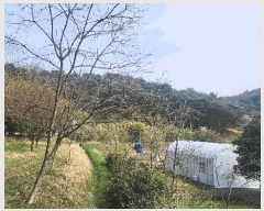  2025Ÿ��11547 ��� ���ֱ� ��ϸ� ������ 118      ����(��)���