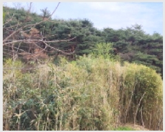  2025Ÿ��11547 ��� ���ֱ� ��ϸ� ������ 118      ����(��)���