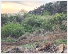  2025Ÿ��11547 ��� ���ֱ� ��ϸ� ������ 118      ����(��)���