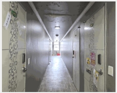  2025Ÿ��11589  ���ڽü����