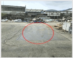  2025Ÿ��11597  ����