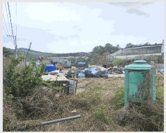  2025Ÿ��11597  ����