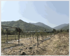  2025Ÿ��11628  ����