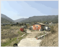  2025Ÿ��11628  ����