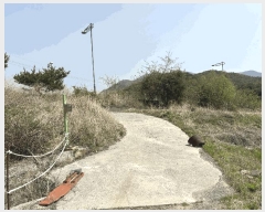  2025Ÿ��11628  ����