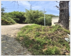  2025Ÿ��11634 ��� ���ֱ� �¾��� ������ 603-3      ����(����)���