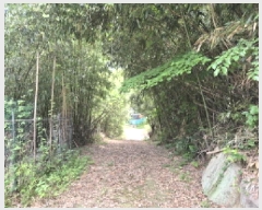  2025Ÿ��11634 ��� ���ֱ� �¾��� ������ 603-3      ����(����)���