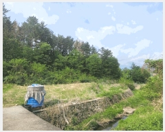  2025Ÿ��11643  �����