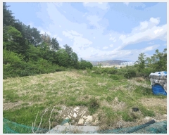  2025Ÿ��11643  �����