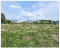  2025Ÿ��11643  �����