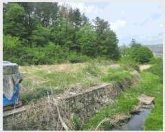  2025Ÿ��11643  �����