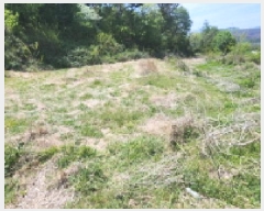  2025Ÿ��11643  �����