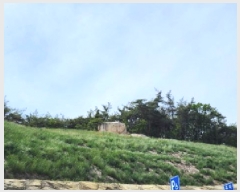  2025Ÿ��11660  �Ӿ߰��